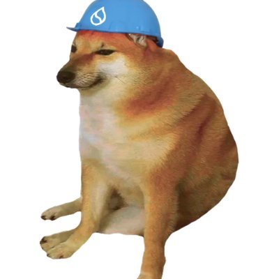 bonkman.sui